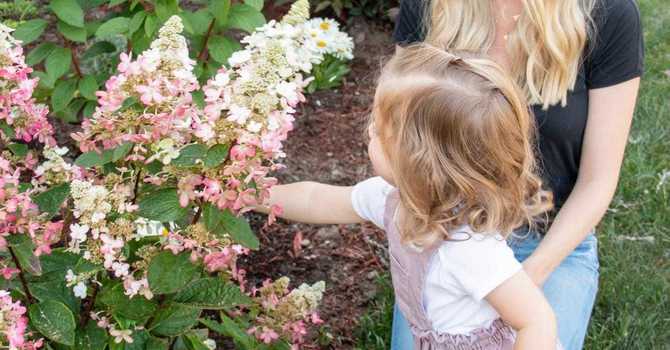 Spring Planting Made Easy